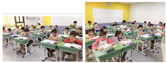 郑老师 | 20年品牌磨砺,助推中国培优教育