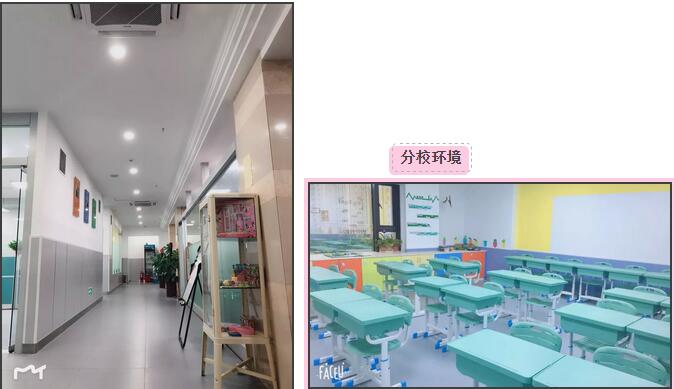 郑老师 | 20年品牌磨砺,助推中国培优教育