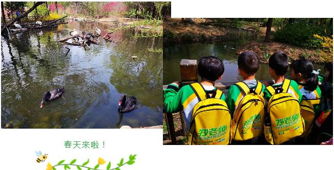 拥抱春天——送给孩子最好的礼物，走进野生动物园活动