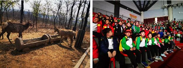 拥抱春天——送给孩子最好的礼物，走进野生动物园活动